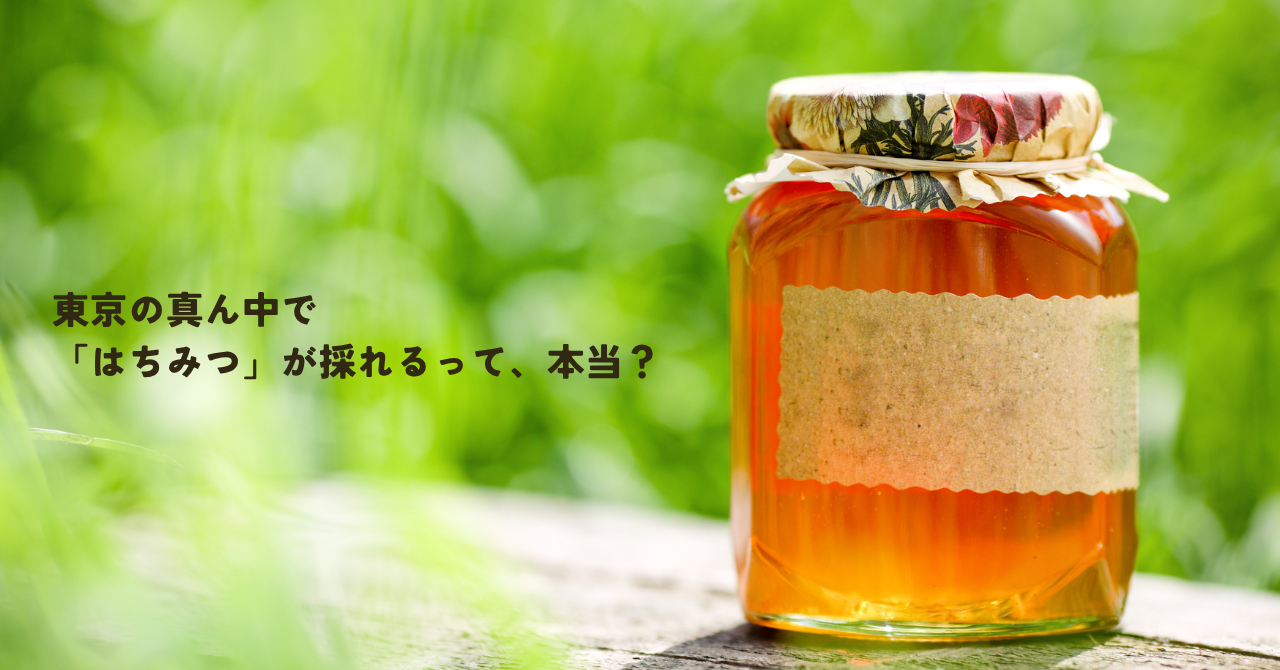 東京の真ん中で「はちみつ」が採れるって、本当？